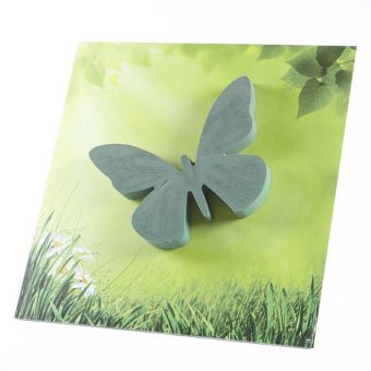 OASIS® Ideal Floral Foam FotoFloral Butterfly