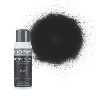 OASIS® Matte Colours Ink Spray Paint 400ml