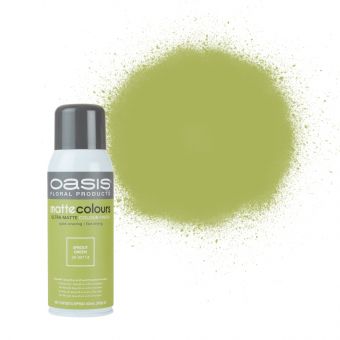 OASIS® Matte Colours Sprout Spray Paint 283ml