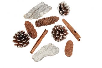 Mixed Cones - Natural Frost