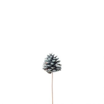 Pine Cones on Stem (Pack of 10) - Frosted White - 50cm