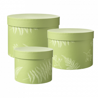 Round Floral Ferns Lined Hat Box (Set of 3)