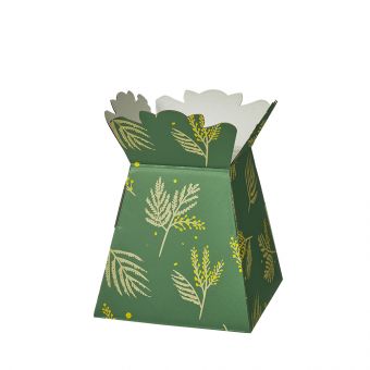 Mimosa Porto Vases - Pack of 25