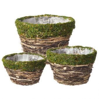 Mossy Trail Lined Bowl