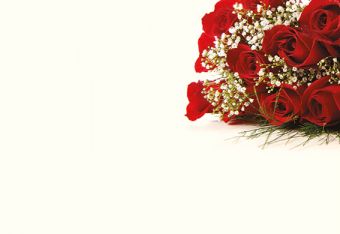 Dozen Red Roses & Gypsophila Classic Plain Card 