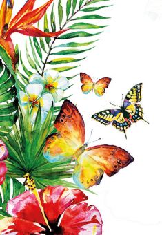 Butterfly Tropical Folded Plain Card
