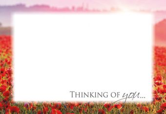 Thinking of You - Field of Poppies Classic Worded Card 