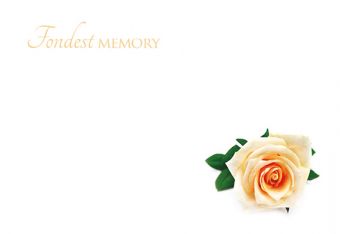 Fondest Memory - Cream Rose Remembrance Card 