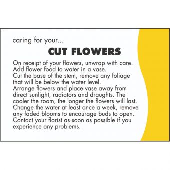Care Card: Cut Flowers