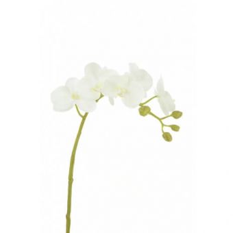 Artificial Phalaenopis Orchid White