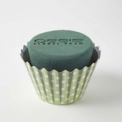 OASIS® Ideal Floral Foam Maxlife Cupcakes - Mint Dot - 12cm (Pack of 6)
