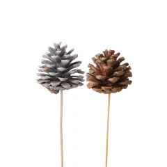 Pine Cones on Stem (Pack of 10)