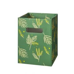 Mimosa Porto Boxes - Pack of 10