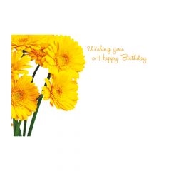 Wishing You a Happy Birthday Yellow Gerberas (Pack of 50)