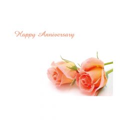 Happy Anniversary Peach Roses
