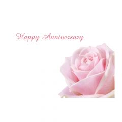 Happy Anniversary Pale Pink Rose