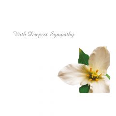 With Deepest Sympathy White Lily 2 (Pack of 50)