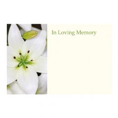 In Loving Memory White Lily