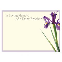 In Loving Memory of a Dear Brother