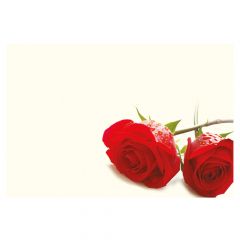 Plain Red Roses