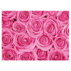 Wall of Pink Roses