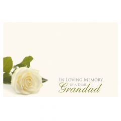 In Loving Memory of a Dear Grandad White Rose