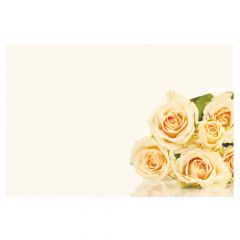 Cream Roses on Cream Background