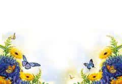 Blue & Yellow Flowers with Butterflies Classic Plain Card 
