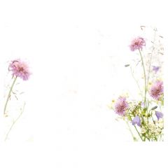 Lilac Wild Daisies - Large