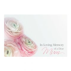 ILM Dear Mum, Pink Ranunculus - Folded