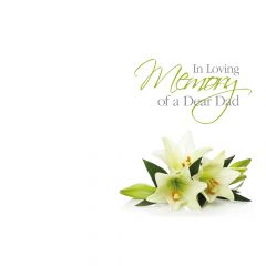 ILM Dear Dad, White Lilies - Large