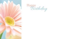 Happy Birthday - Soft Pink Gerbera Classic Worded Card 