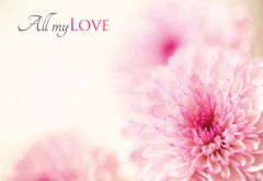 All My Love - Two Tone Chrysanthemum Classic Worded Card 