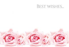 Best Wishes - Pink Roses Classic Worded Card 