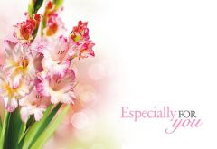 Especially for You - Gladioli Classic Worded Card 