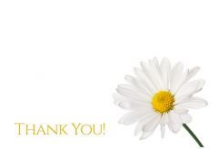 Thank You - Daisy Classic Worded Card 