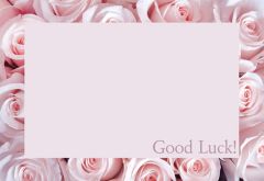 Good Luck - Pink Rose Border Classic Worded Card 