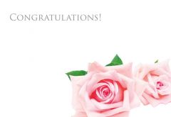 Congratulations - Pink Roses Classic Worded Card 