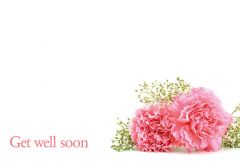 Get Well Soon - Pink Carnations & Gypsophila Classic Worded Card 