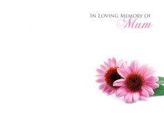 In Loving Memory of a Mum - Pink Daisies Remembrance Card 