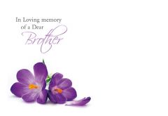 In Loving Memory of a Dear Brother - Purple Crocus Remembrance Card 