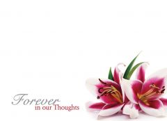 Forever in our Thoughts - Lillies Large Remembrance Card 