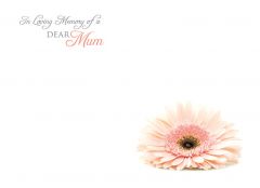 In Loving Memory of a Dear Mum - Soft Pink Gerbera Large Remembrance Card 