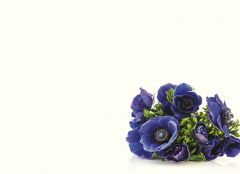 Blue Anemone Large Remembrance Card