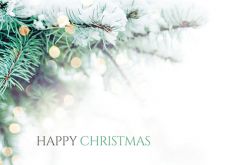 Happy Christmas - Holly Classic Worded Card