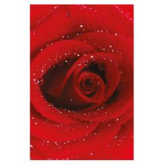 Dew Drop Red Rose Folded Plain Card (Pack of 25)